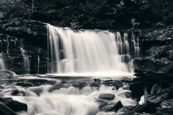 Watervallen Het Bos Zwart Wit — Stockfoto