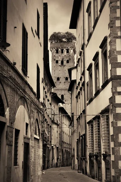 Vista Estrecha Calle Antigua Lucca Italia — Foto de Stock