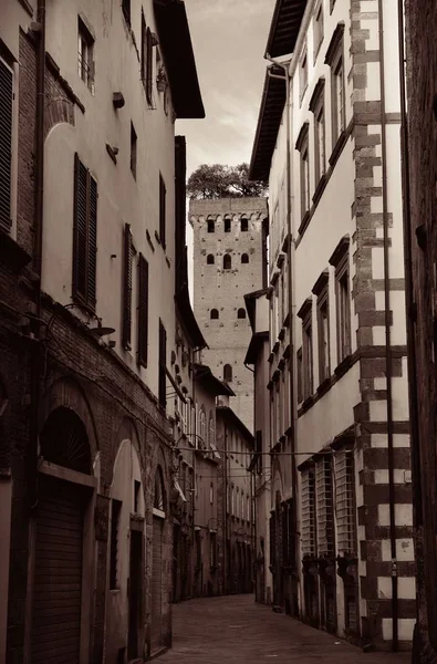 Vista Calle Lucca Con Torre Alberata Italia —  Fotos de Stock