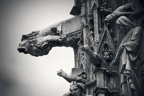 Καθεδρικός Ναός Σιένας Gargoyle Closeup Όπως Διάσημο Ορόσημο Στην Μεσαιωνική — Φωτογραφία Αρχείου
