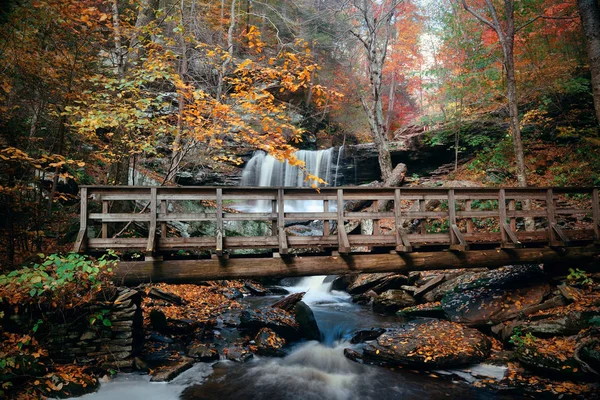 Cascate Autunnali Parco Con Fogliame Colorato — Foto Stock