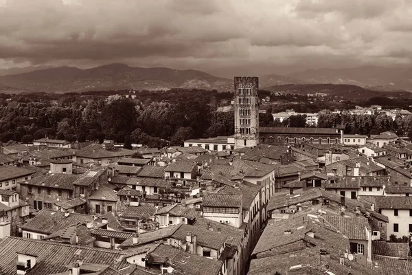 Vista Panorâmica Horizonte Lucca Com Torre Catedral Itália — Fotografia de Stock