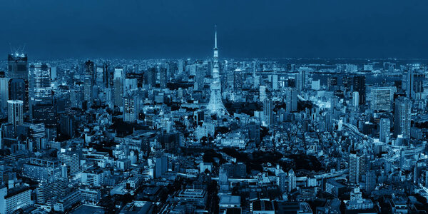Tokyo Tower and urban skyline rooftop view at night, Japan.