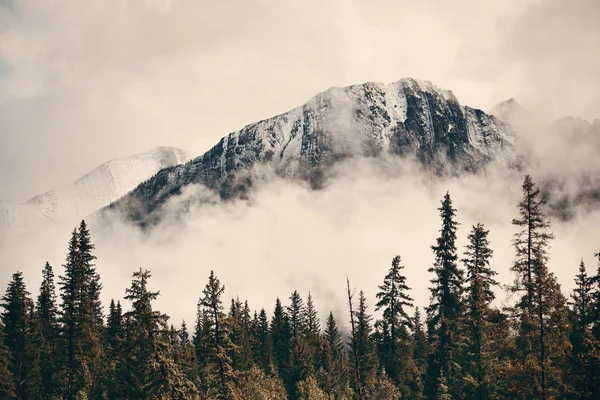 Parque Nacional Banff Montanhas Nebulosas Floresta Canadá — Fotografia de Stock