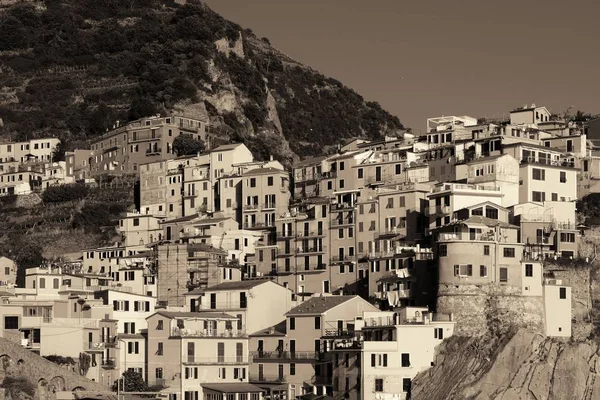 Edificios Estilo Italiano Sobre Acantilado Manarola Cinque Terre Italia —  Fotos de Stock