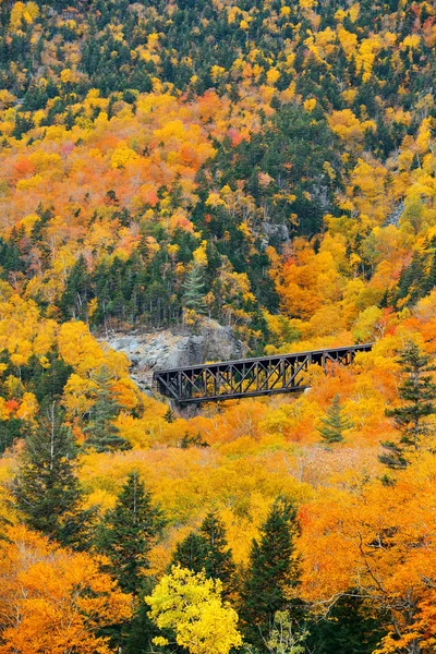Kleurrijk Herfstblad Spoorbrug White Mountain New Hampshire — Stockfoto