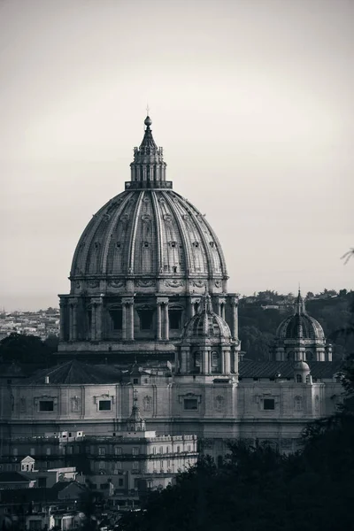 Peters Basilica Vatican City Black White — Stock Photo, Image