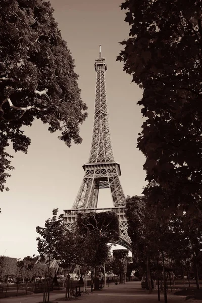 Eiffelturm Park Als Berühmtes Wahrzeichen Von Paris — Stockfoto