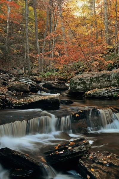 Cascadas Otoño Parque Con Follaje Colorido — Foto de Stock