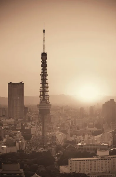 東京タワーと都心のスカイライン屋上からの眺め — ストック写真