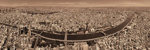 Tóquio Vista Telhado Skyline Urbano Com Rio Japão — Fotografia de Stock