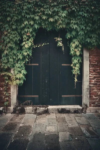 Door Covered Leaves Historical Buildings Venice Italy — Stock Photo, Image