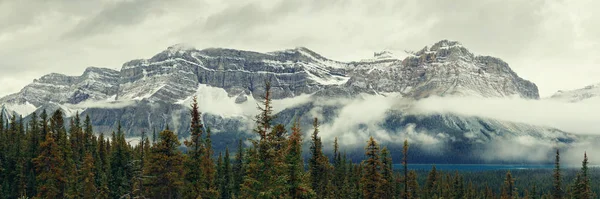 Bow Lake Panorama Zasněženými Vrcholky Hor Lesů Národním Parku Banff — Stock fotografie