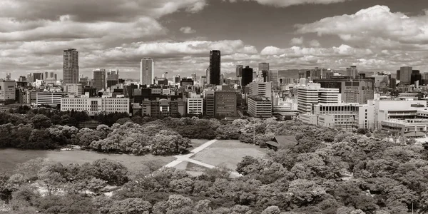 Blick Auf Den Stadtpark Von Osaka Japan — Stockfoto
