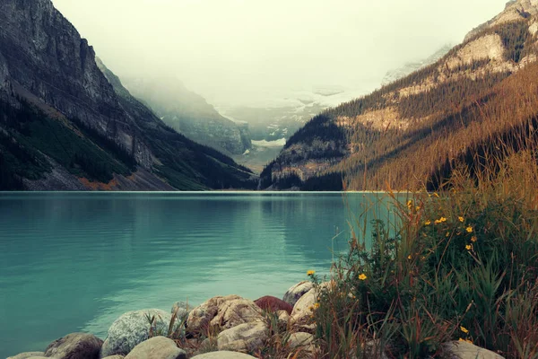 班夫国家公园的路易湖 加拿大有高山和森林 — 图库照片