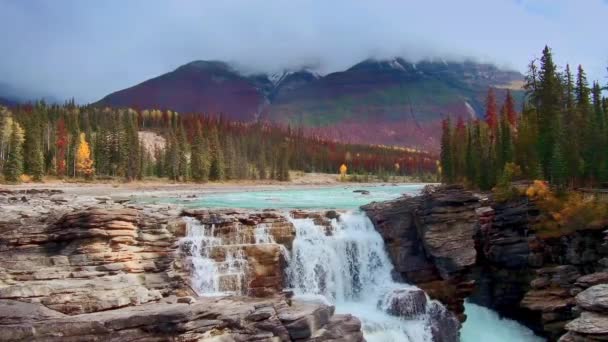Kleurrijke Waterval Met Herfst Bladeren Het Nationaal Park Jasper Canada — Stockvideo