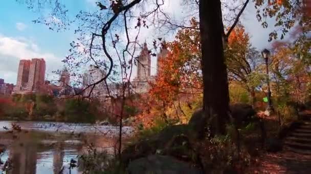 Central Park Lopen Weergave Herfst Met Loof Midtown Manhattan New — Stockvideo