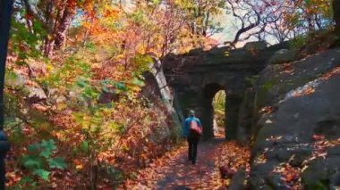 Central Park'ta yürümek Sonbaharda yapraklar ın Midtown Manhattan New York City ile