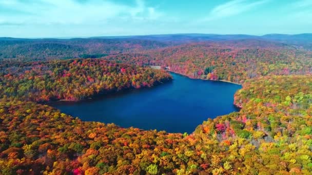 Luchtfoto Van Lake Het Najaar Met Kleurrijke Gebladerte — Stockvideo