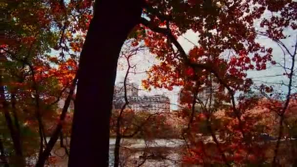 中央公园步行在秋天与树叶在曼哈顿曼哈顿市中心 — 图库视频影像