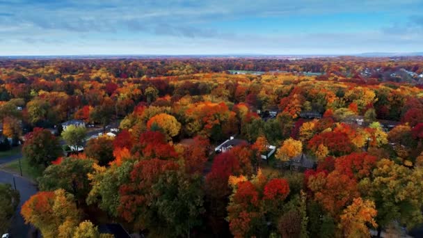 Renkli Yeşillik Ile Sonbahar Bir Yerleşim Bölgesinde Havadan Görünümü — Stok video