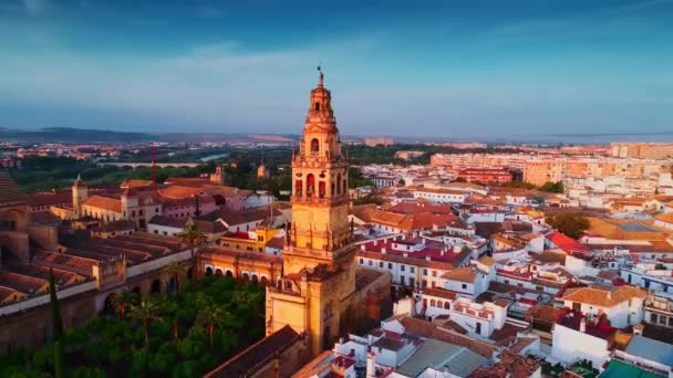 Aerial Drone View Bell Tower Great Mosque Cordoba Mosque Cathedral — Stock Video