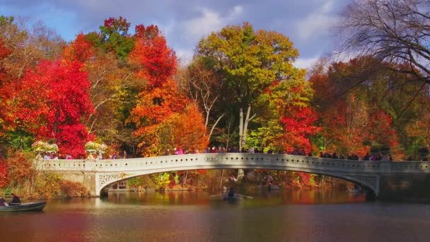 纽约市中央公园秋季与弓桥和湖 — 图库视频影像