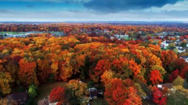 Renkli yeşillik ile sonbahar bir yerleşim bölgesinde, havadan görünümü