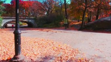 Central Park'ta yürümek Sonbaharda yapraklar ın Midtown Manhattan New York City ile