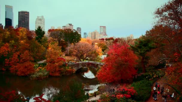 Central Park Atardecer Timelapse Otoño Con Follaje Midtown Manhattan Nueva — Vídeos de Stock