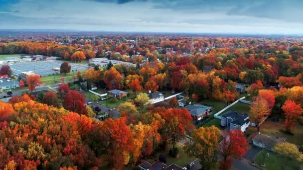 Luftaufnahme Eines Wohngebiets Herbst Mit Buntem Laub — Stockvideo