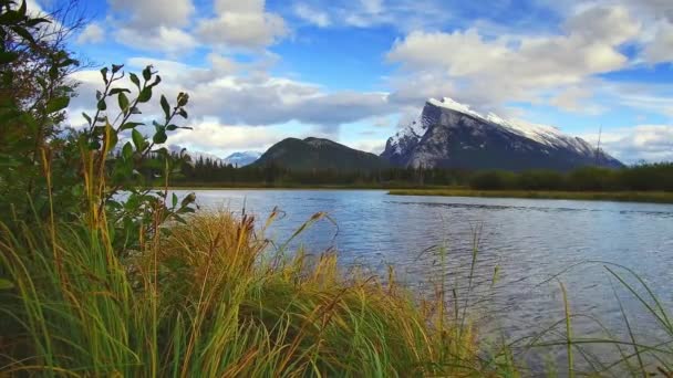 Vermilion Lakes Солнечный День Вид Набережную Банфском Национальном Парке Канада — стоковое видео