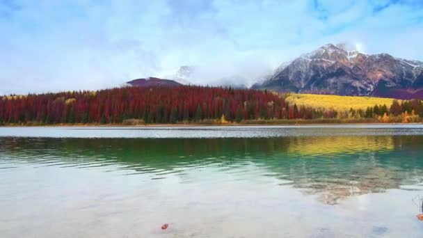 Renkli Sonbahar Yaprakları Kar Dağ Jasper National Park Kanada Göl — Stok video