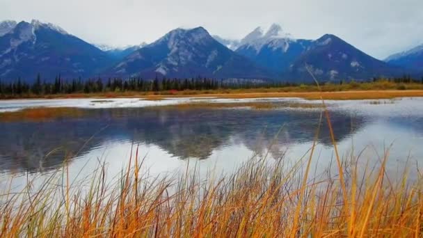 Vista Panorâmica Beira Mar Lago Jasper Montanha Neve Canadá — Vídeo de Stock