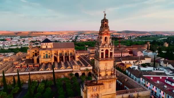 Çan Kulesi Cordoba Büyük Camii Veya Katedral Kurtuba Camii Hava — Stok video