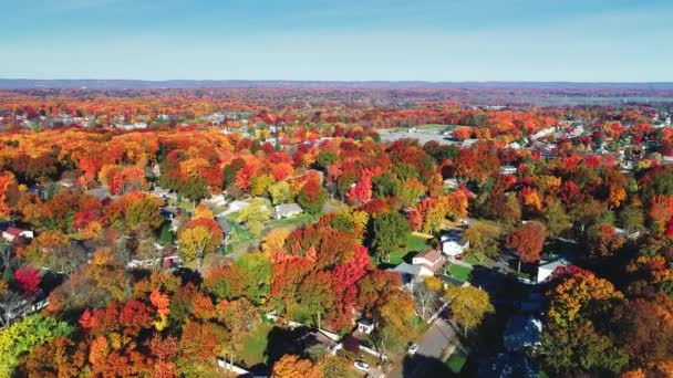 Vista Aérea Área Residencial Outono Com Folhagem Colorida — Vídeo de Stock