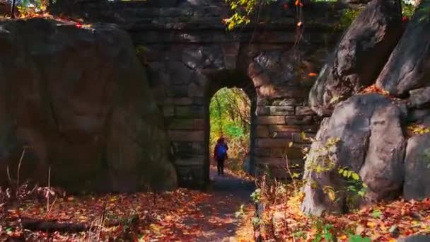 Ходити Центральному Парку Восени Листя Midtown Manhattan Нью Йорку — стокове відео