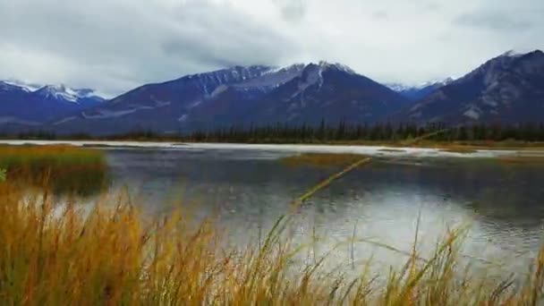 ジャスパー湖と雪の山 カナダのウォーター フロント ビュー — ストック動画