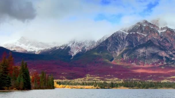 加拿大贾斯珀国家公园五颜六色的秋叶雪山全景 — 图库视频影像