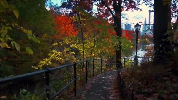 中央公园步行在秋天与树叶在曼哈顿曼哈顿市中心 — 图库视频影像