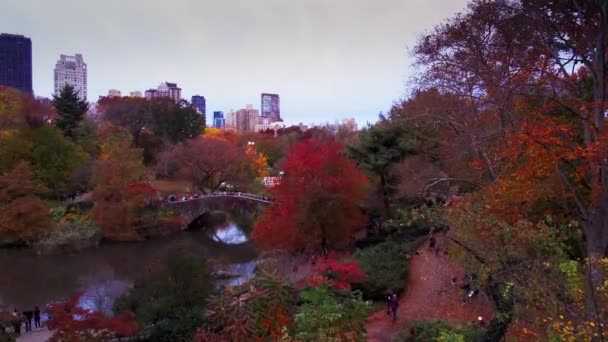 Central Park Bij Schemering Timelapse Herfst Met Loof Midtown Manhattan — Stockvideo