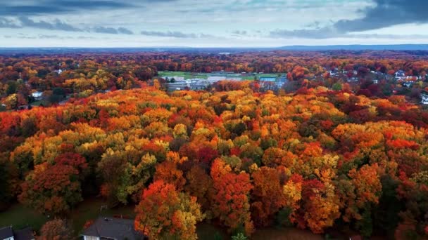 Letecký Pohled Rezidenční Oblasti Podzim Barevné Listí — Stock video