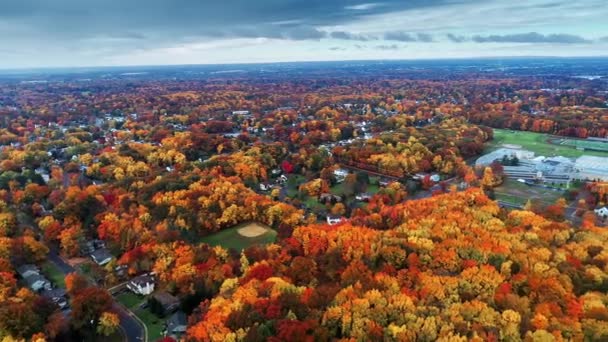 Luftaufnahme Eines Wohngebiets Herbst Mit Buntem Laub — Stockvideo