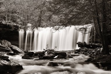 Ormandaki şelaleler siyah beyaz.
