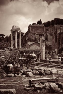 Tarihi binaların kalıntılarıyla Roma Forumu. İtalya.
