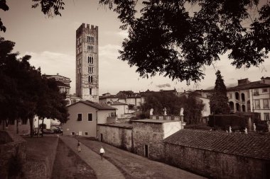 Lucca 'da tarihi yapıları olan Basilica di San Frediano..