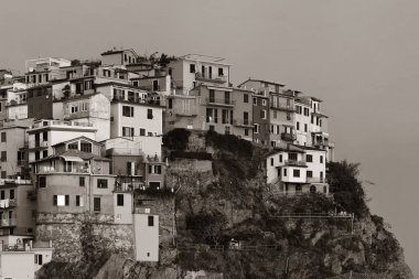 İtalya 'nın Cinque Terre kentindeki Manarola uçurumunda İtalyan tarzı yerleşik binalar..