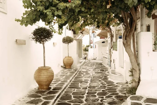 Straße Mit Traditioneller Griechischer Architektur Mykonos Griechenland — Stockfoto