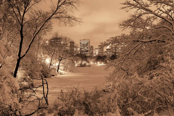 Κεντρικό Πάρκο Χειμώνα Στο Κέντρο Του Μανχάταν Νέα Υόρκη — Φωτογραφία Αρχείου