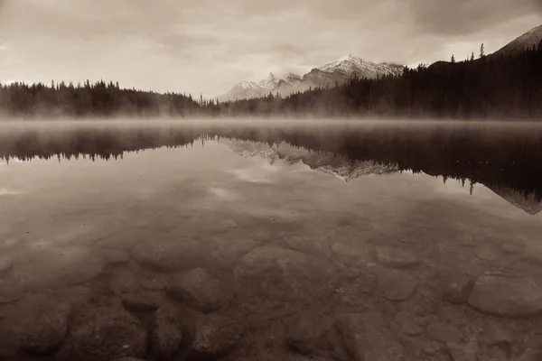 Lake Herbert Morning Fog Snow Glacier Mountain — Stock Photo, Image